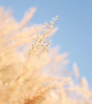 k漫画 App 章节列表页截图，浅米色背景上按时间倒序列出最新更新的章节标题与更新时间